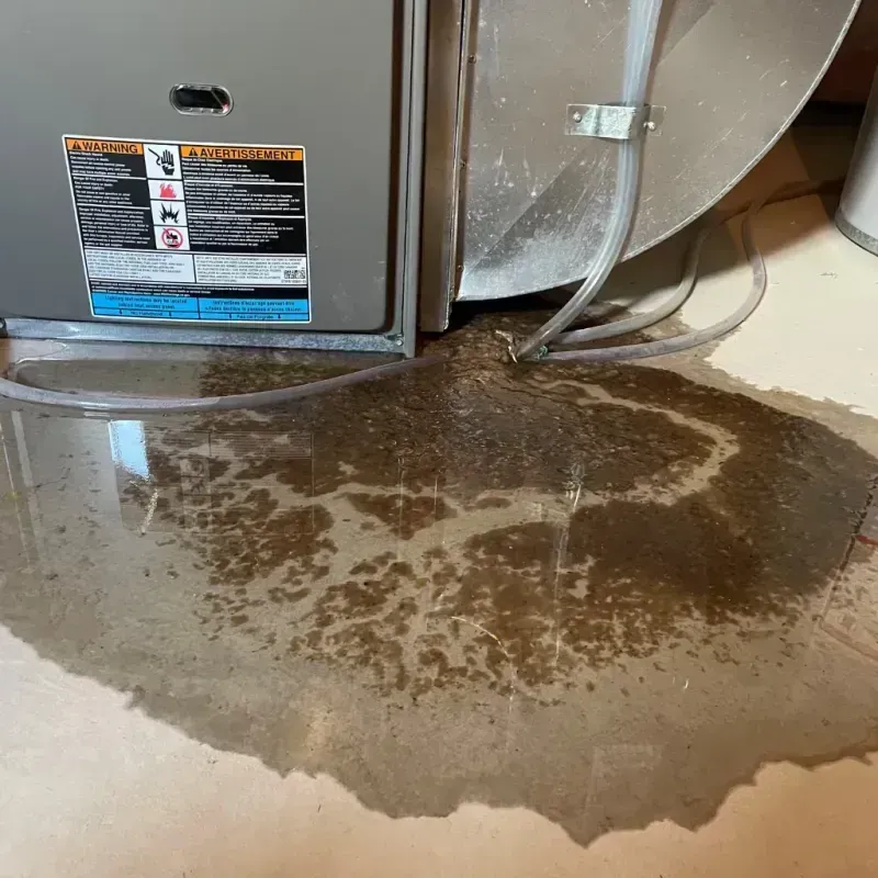 Appliance Leak Cleanup in Brevard County, FL